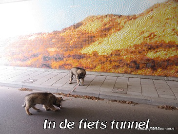 Samen met zuslief in de duurste fietstunnel van Nederland